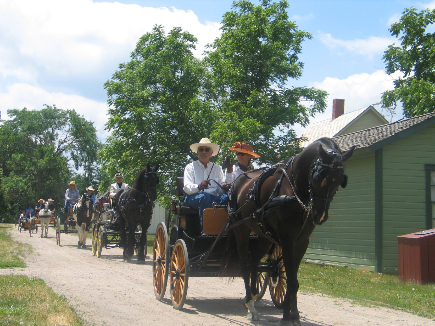 06 20 HORSES 05.JPG